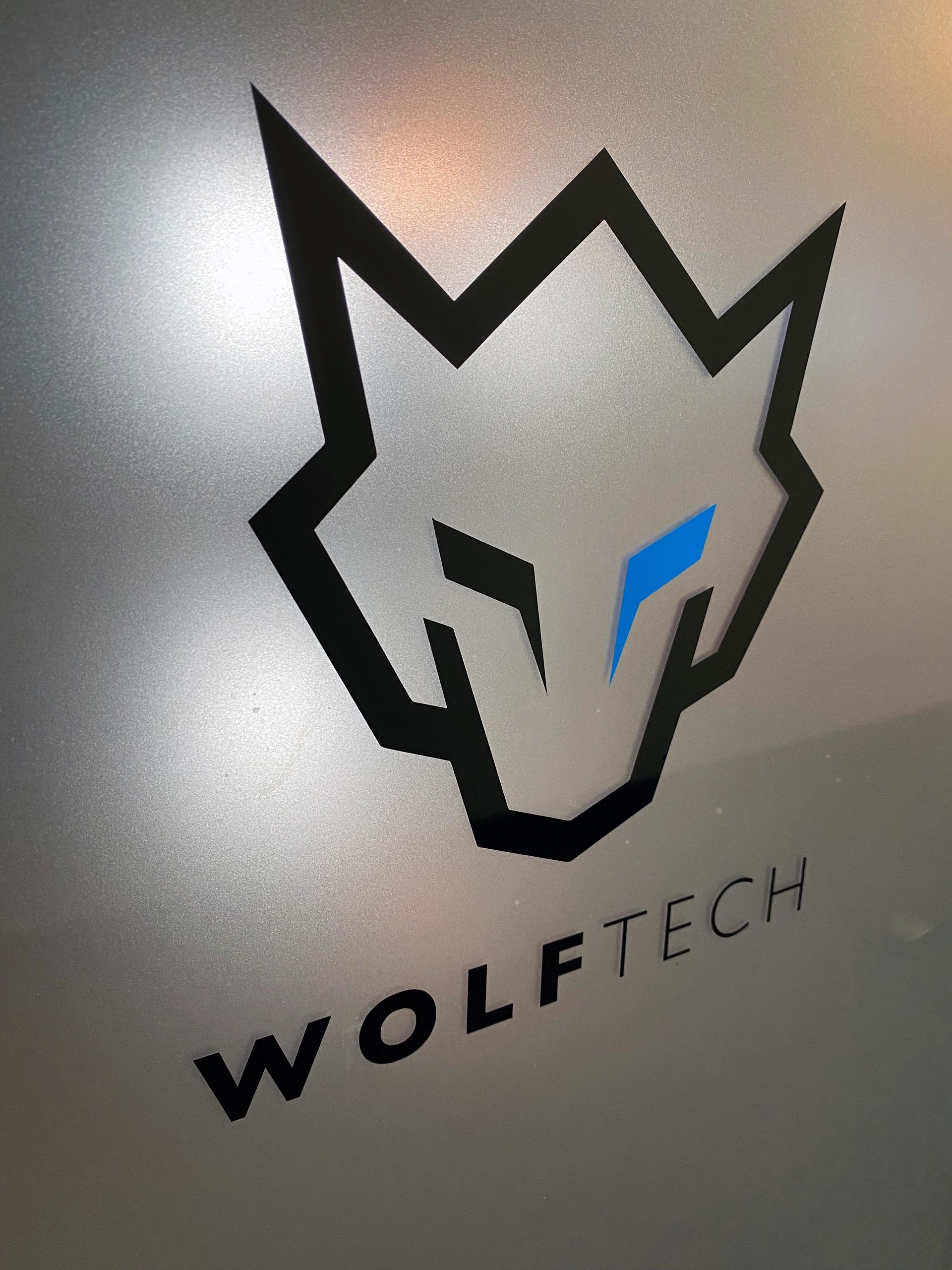 WolfTech team at work